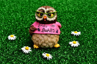 探讨神话传说中的飞龙：为何我们再也看不见不知疲倦的飞龙，它们消失的背后原因