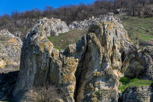(侏罗纪生料)探秘侏罗纪军团买卖:古老生物交易的真相和秘密大揭露! (侏罗纪生料)探秘侏罗纪军团买卖:古老生物交易的真相和秘密大揭露!