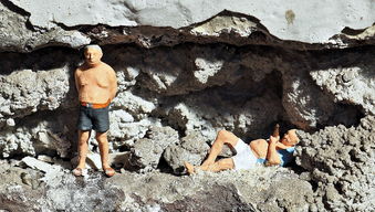 (寻访仙山)探寻仙山迷踪:寻找长生之路 (寻访仙山)探寻仙山迷踪:寻找长生之路