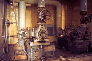 (美丽山乡歌词)美丽山妹子——探寻神秘山野的歌词灵感