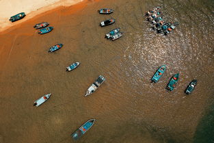 深度揭秘:详解《海沙风云》全结局攻略,揭示多角度选择带来的影响及其应对策略 深度揭秘:详解《海沙风云》全结局攻略,揭示多角度选择带来的影响及其应对策略