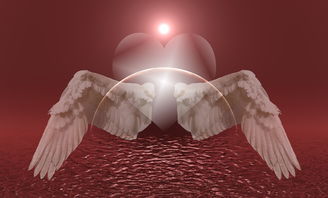 (天使之翼怎么穿)全新穿越时空之旅:探秘天使之翼的奥秘与魅力 (天使之翼怎么穿)全新穿越时空之旅:探秘天使之翼的奥秘与魅力