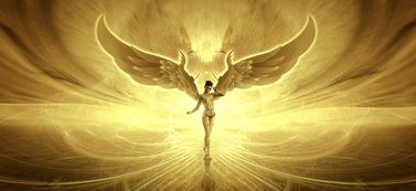 (天使之翼怎么穿)全新穿越时空之旅:探秘天使之翼的奥秘与魅力 (天使之翼怎么穿)全新穿越时空之旅:探秘天使之翼的奥秘与魅力