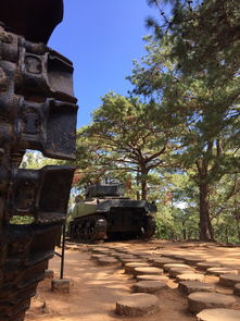 挑战无界:城墙不能倒金币版, 探讨金钱与权力在历史进程中的微妙关系及影响 挑战无界:城墙不能倒金币版, 探讨金钱与权力在历史进程中的微妙关系及影响