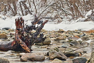 荒野日记:孤岛逃离方法与生存技巧全解析,带你畅游野外生存的极限挑战 荒野日记:孤岛逃离方法与生存技巧全解析,带你畅游野外生存的极限挑战