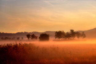 体验独一无二的魅力,探寻黎明特制版的绝美之处,让你的生活更加精彩! 体验独一无二的魅力,探寻黎明特制版的绝美之处,让你的生活更加精彩!
