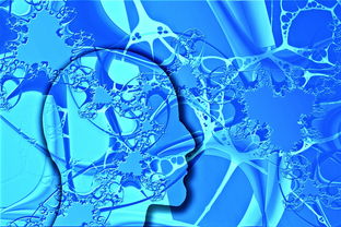 (3ds幻想生活全攻略)3DS幻想生活全地图素材中文：探索梦幻世界，畅游全新冒险之旅