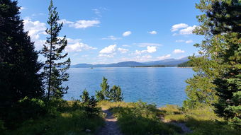 探索风驰幽林贴吧:寻找心灵栖息地,分享自然美丽与宁静生活的乐趣 探索风驰幽林贴吧:寻找心灵栖息地,分享自然美丽与宁静生活的乐趣