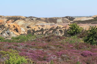(斗破苍穹巅峰斗气)斗破苍穹巅峰对决手游下载，全新玩法引领你走向巅峰大陆