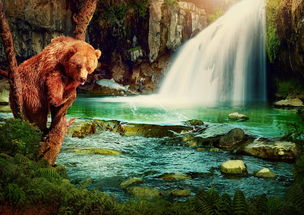 探寻宠物王国之梦幻王国的奇幻世界：魔法、友谊和冒险等待着你