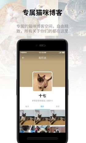 i am cat手机版中文版免费安装下载-i am cat手机版手机版安卓下载v.0.51