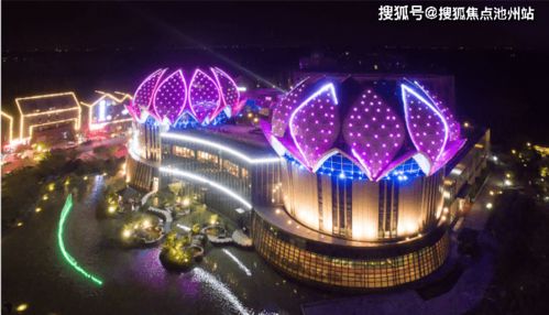 绝望的鸟无敌版-绝望的鸟最新版下载安装v.5.53