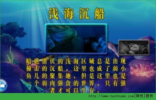 大鱼吃小鱼3内购版最新版无限钻石下载-大鱼吃小鱼3微信小程序(暂未上线)v.3.43 大鱼吃小鱼3内购版最新版无限钻石下载-大鱼吃小鱼3微信小程序(暂未上线)v.3.43