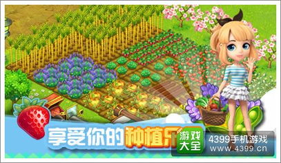 我的口袋农场手机版(正版)下载-我的口袋农场无广告版安卓最新版下载v.3.97