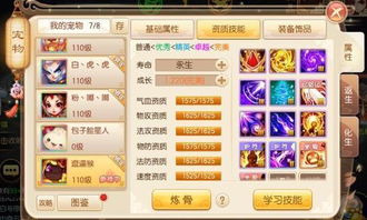 寻找适合长期投入时间的网游,打造专属游戏世界 寻找适合长期投入时间的网游,打造专属游戏世界