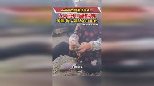 揭秘真实生活:我真不是仙二代,只是平凡人的明月地上霜 揭秘真实生活:我真不是仙二代,只是平凡人的明月地上霜