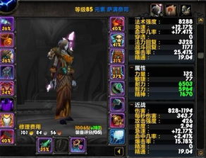 如何选择最适合的元素萨满附魔？