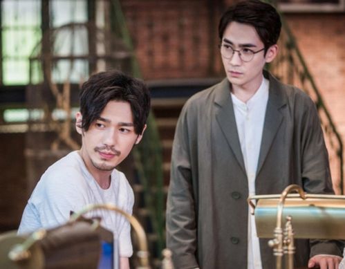 为什么奇异大陆这部电视剧突然下架了？究竟发生了什么？