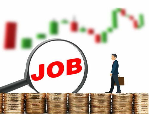 在哪里可以找到我现在的工作单位？