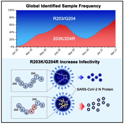 探秘微观生物:真菌世界攻略16关详细解析与闯关指南 探秘微观生物:真菌世界攻略16关详细解析与闯关指南