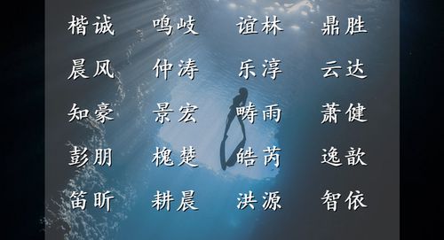 仗剑天涯作者简介:探寻历史辽东之路,记录中外国士风采,笔耕不辍文化传承 仗剑天涯作者简介:探寻历史辽东之路,记录中外国士风采,笔耕不辍文化传承