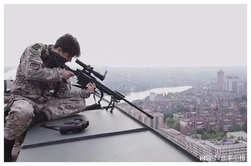 高清版狙击手在线观看免费-影片完整高清画质在线观看 高清版狙击手在线观看免费-影片完整高清画质在线观看