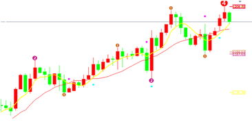 边际猎人2024年预估价格:市场专家揭秘未来价格走势! 边际猎人2024年预估价格:市场专家揭秘未来价格走势!