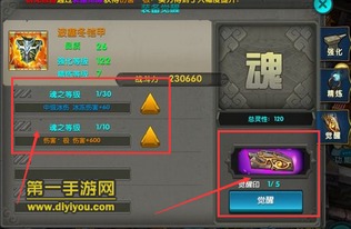 太极熊猫是否宣布关服? 粉丝们担心这标志着什么新起点？