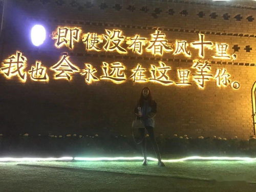 探寻千年舟官方网站，体验神秘历史与文化的奇妙之旅