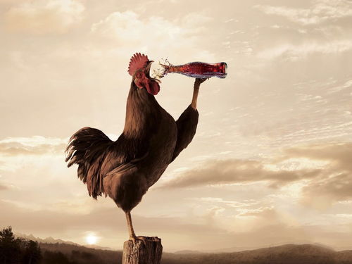 羊、马、猴、鸡:2005天天开彩免费资料及2026年天天免费资料百度中文关键解答、专家解读解释与落实​,杜绝误导性诱导