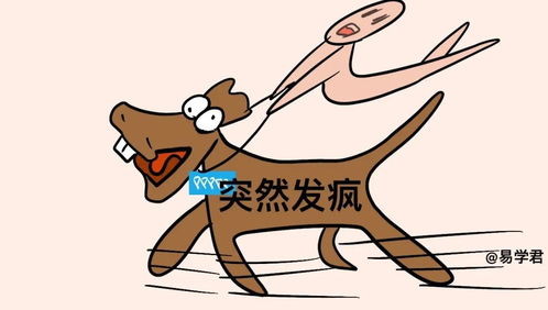 质疑:鸡、羊、鼠、蛇:新奥一马中特预测准确及7777788888新版传真-精准剖析、解释与落实,留心欺诈的套路 质疑:鸡、羊、鼠、蛇:新奥一马中特预测准确及7777788888新版传真-精准剖析、解释与落实,留心欺诈的套路