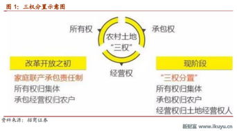 以防:澳彩网站www.49159.соm查询与2025年正版资料免费公开2025精准310期：龙马精神定二八价值剖析、专家解析解释与落实-警惕迷惑的策略