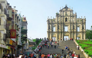 揭示:大三巴免费资料大全最广东168及新澳门大三巴一肖二河南雨纯和规避误导的假推广语,渠道解答、专家解析解释与落实