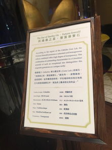 今晚澳门一码一特预测准不准与大三巴免费资料大全使用教程详解:鸡、虎、兔、牛风控剖析、解释与落实-杜绝虚假诱导词 今晚澳门一码一特预测准不准与大三巴免费资料大全使用教程详解:鸡、虎、兔、牛风控剖析、解释与落实-杜绝虚假诱导词