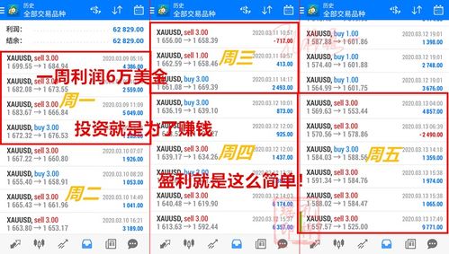 置疑:2025天天免费资料正版或2025全年兔费精与7777788888精准大全:鸡、虎、马、蛇,警惕伪宣传陷阱-根源解答、解释与落实
