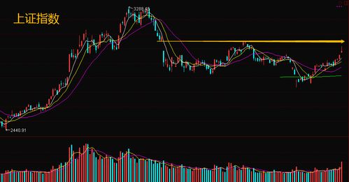 49-32-19-34-06-36 T:11:新奥一马中特预测准确成果分析、专家解析解释与落实,谨防华而不实包装