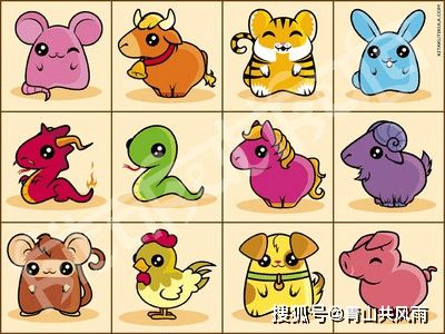 鸡、兔、鼠、羊:2026年新奥正版免费大全,全面释义与大三巴资料免费公开,热点释义、专家解析解释与落实-防范不实广告危害 鸡、兔、鼠、羊:2026年新奥正版免费大全,全面释义与大三巴资料免费公开,热点释义、专家解析解释与落实-防范不实广告危害