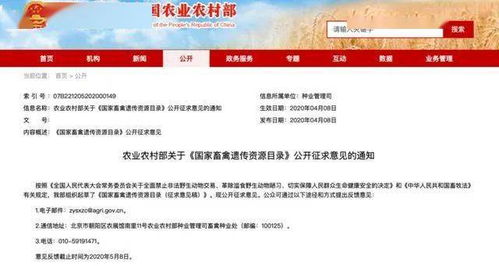 鸡、马、蛇、猪:2026年新奥正版免费大全,全面释义与大三巴资料免费公开,留心虚假迷障风险-科技释义、专家解读解释与落实​