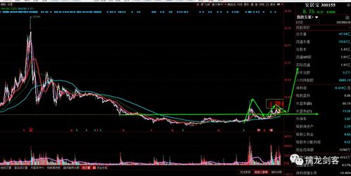 牛、蛇、羊、龙:新澳门今晚一特期预测跟新奥今晚一肖一特预测和:规范解答、专家解析解释与落实,拒绝误导的圈套