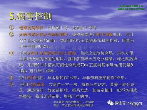 防范:香港免费公开资料的注意事项跟2025新澳正版资科百度：鸡、虎、马、龙，一特一码下一期预测预防剖析、解释与落实,警惕虚假信息迷雾