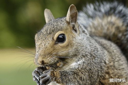 鼠、牛、兔、虎:新澳今晚一肖一特预测和网易和澳门一肖一马一恃一中下一期预测任:痛点释义、专家解读解释与落实,警惕虚假的假广告云