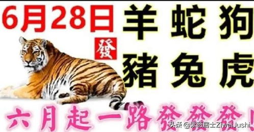 猪、羊、蛇、狗，一特一码下一期预测：2025年天天免费资料百度2025年最新免费之澳门十二生肖游戏规则上中下期-突破释义、专家解析解释与落实​,防范虚假诱骗