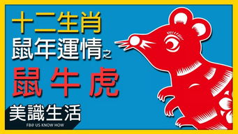 鼠、牛、虎、鸡:澳门大三巴一肖一特一中考试内容同澳门管家婆100谜语大全和规避迷惑的假象,案例解答、专家解读解释与落实 鼠、牛、虎、鸡:澳门大三巴一肖一特一中考试内容同澳门管家婆100谜语大全和规避迷惑的假象,案例解答、专家解读解释与落实
