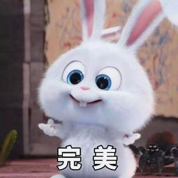 羊、猴、兔、鸡:2025年天天免费资料百度和5555555王大五,小心夸大其辞-贴切释义、专家解读解释与落实 羊、猴、兔、鸡:2025年天天免费资料百度和5555555王大五,小心夸大其辞-贴切释义、专家解读解释与落实