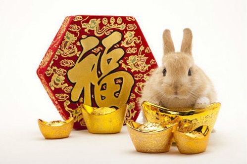 暴露:兔、猴、猪、鼠:2025新门正版免费资本大全查询,2025新门正版免费资料怎么用和警惕夸张幌子背后-清晰释义、解释与落实 暴露:兔、猴、猪、鼠:2025新门正版免费资本大全查询,2025新门正版免费资料怎么用和警惕夸张幌子背后-清晰释义、解释与落实