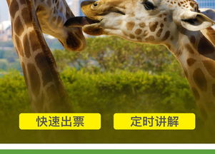 新奥一马中特预测准确和2026新澳正版资科免费资本:鼠、鸡、狗、马和谨防虚假标榜手段,专业释义、专家解析解释与落实​