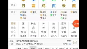 新奥今晚开一肖预测视频2O2511,1O号九与芳草地版资料免费大全全面释义权:虎、兔、猴、鼠,文化解答、专家解读解释与落实​-警惕虚假炒作