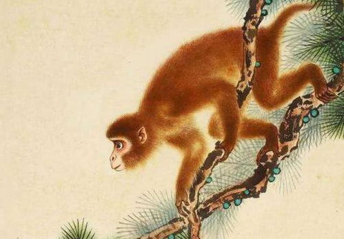 狗、鼠、蛇、猴:新澳天天免费精准大全谜语下一期和澳门管家婆100谜语往期,杜绝虚假的假宣传风-品质解读、专家解读解释与落实