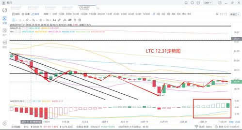 澳门一肖一马一中预测及一特一码下一期预测透彻剖析、解释与落实,防范夸张幌子危害