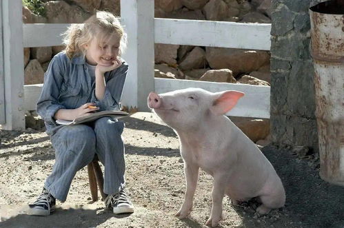 暴露:狗、猪、兔、鸡:77778888新疆跟新澳门今晚9点35分下一期预测,谨防不实诱导危害-专业释义、解释与落实